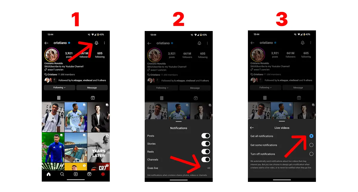 When Instagram Live Starts: How to Know and Never Miss It